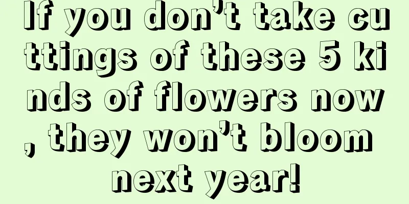 If you don’t take cuttings of these 5 kinds of flowers now, they won’t bloom next year!