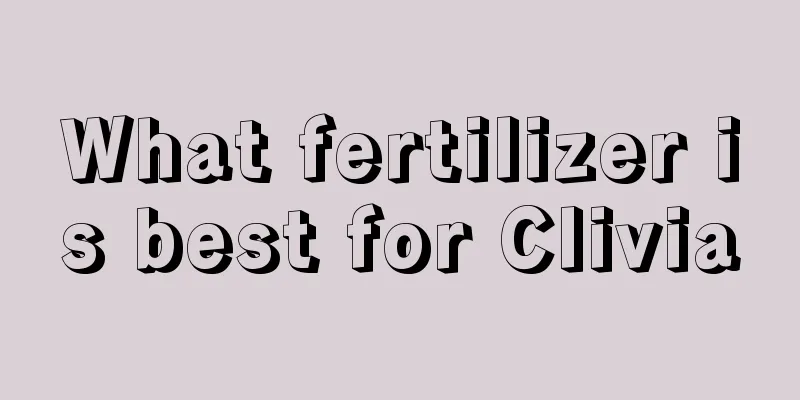 What fertilizer is best for Clivia