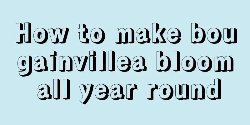 How to make bougainvillea bloom all year round