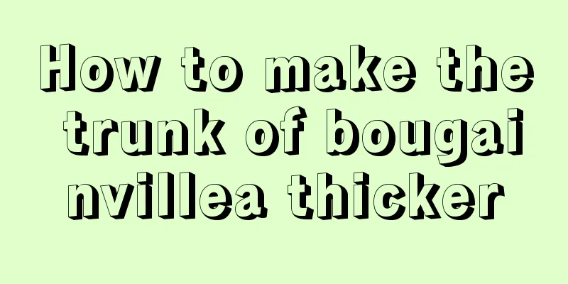 How to make the trunk of bougainvillea thicker