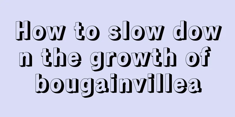 How to slow down the growth of bougainvillea