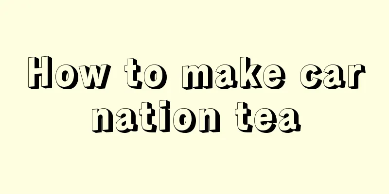 How to make carnation tea