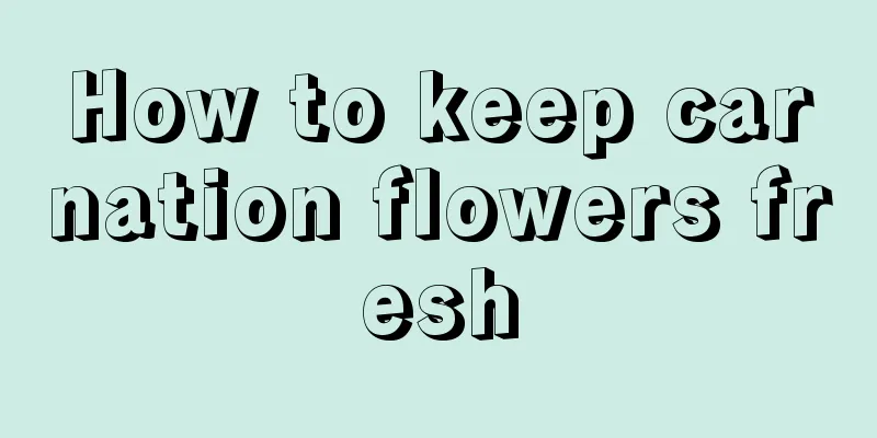 How to keep carnation flowers fresh