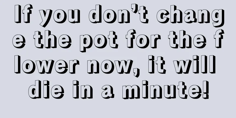 If you don’t change the pot for the flower now, it will die in a minute!