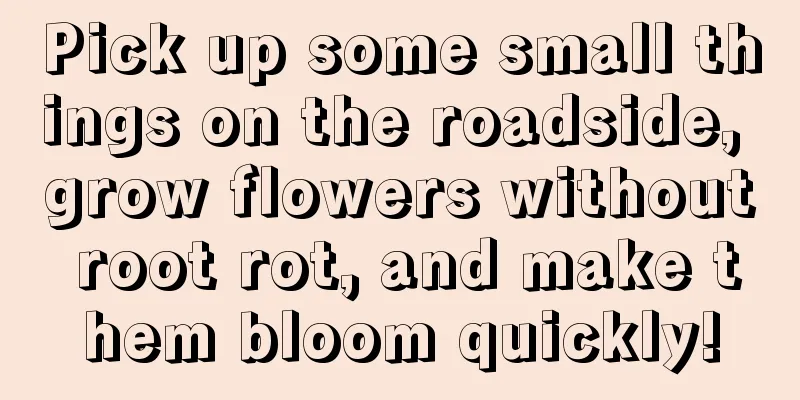 Pick up some small things on the roadside, grow flowers without root rot, and make them bloom quickly!