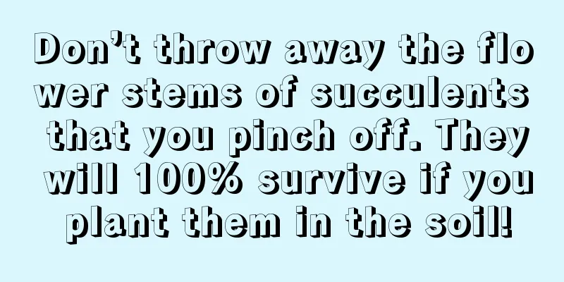 Don’t throw away the flower stems of succulents that you pinch off. They will 100% survive if you plant them in the soil!