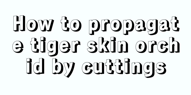 How to propagate tiger skin orchid by cuttings