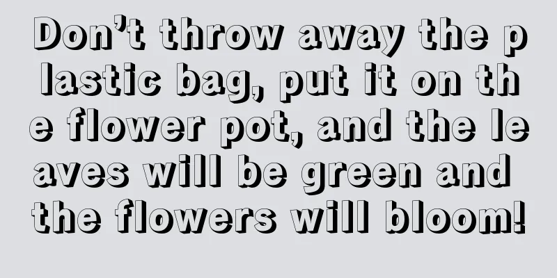 Don’t throw away the plastic bag, put it on the flower pot, and the leaves will be green and the flowers will bloom!