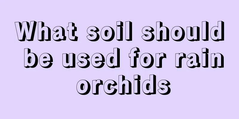 What soil should be used for rain orchids