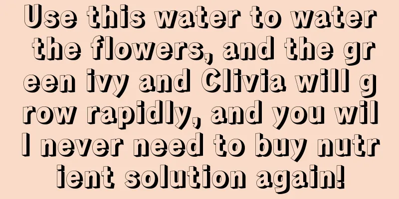 Use this water to water the flowers, and the green ivy and Clivia will grow rapidly, and you will never need to buy nutrient solution again!