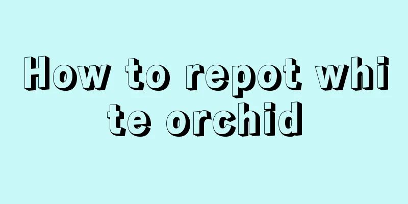 How to repot white orchid