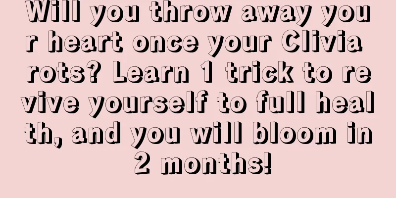 Will you throw away your heart once your Clivia rots? Learn 1 trick to revive yourself to full health, and you will bloom in 2 months!