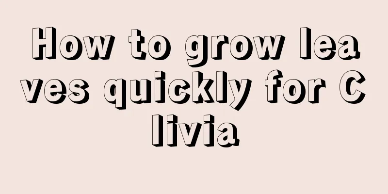 How to grow leaves quickly for Clivia