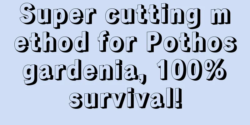 Super cutting method for Pothos gardenia, 100% survival!