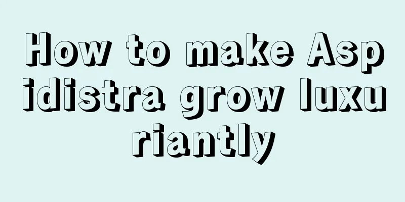 How to make Aspidistra grow luxuriantly