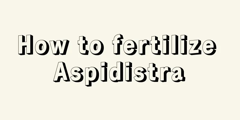 How to fertilize Aspidistra