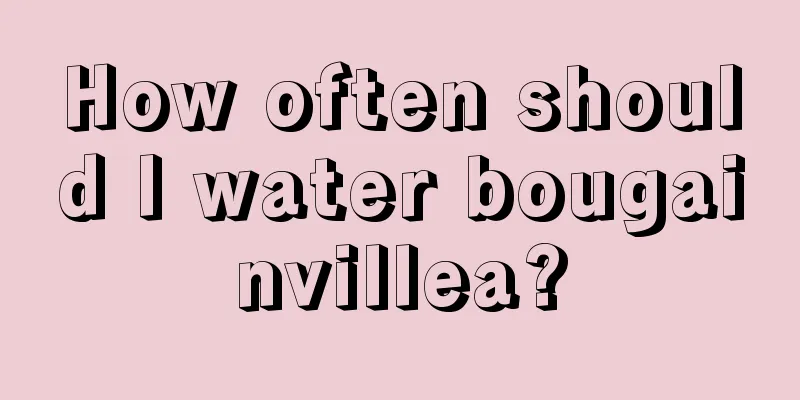 How often should I water bougainvillea?