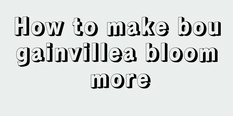 How to make bougainvillea bloom more