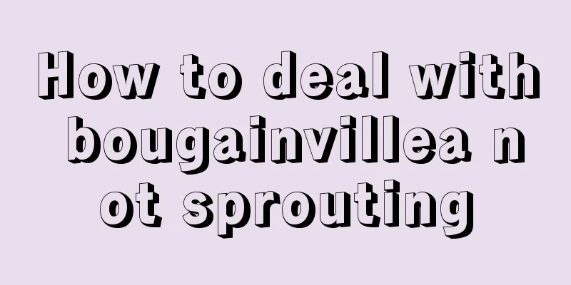 How to deal with bougainvillea not sprouting