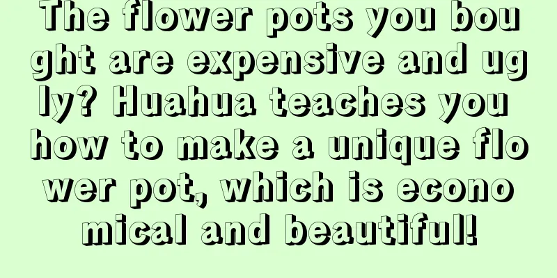 The flower pots you bought are expensive and ugly? Huahua teaches you how to make a unique flower pot, which is economical and beautiful!