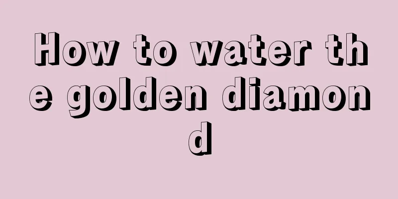 How to water the golden diamond