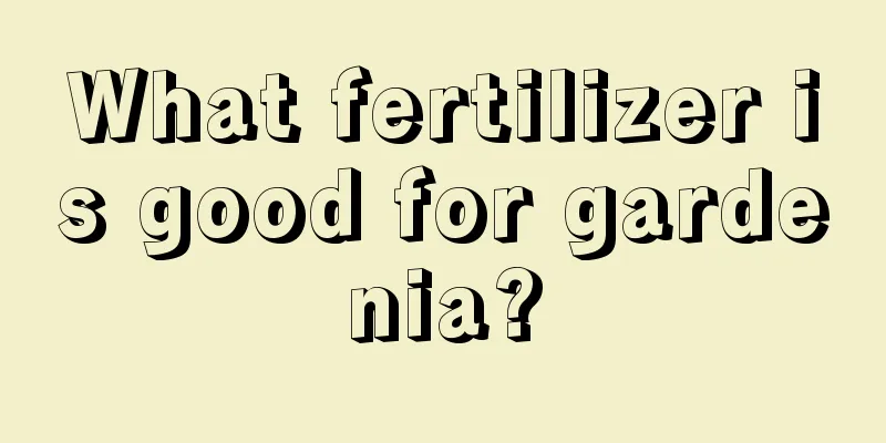 What fertilizer is good for gardenia?