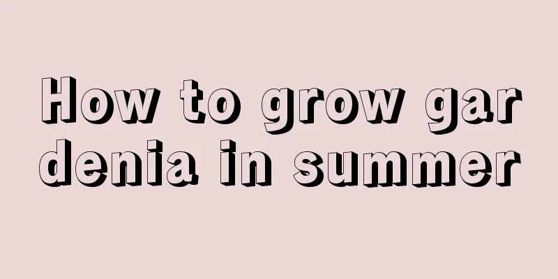 How to grow gardenia in summer