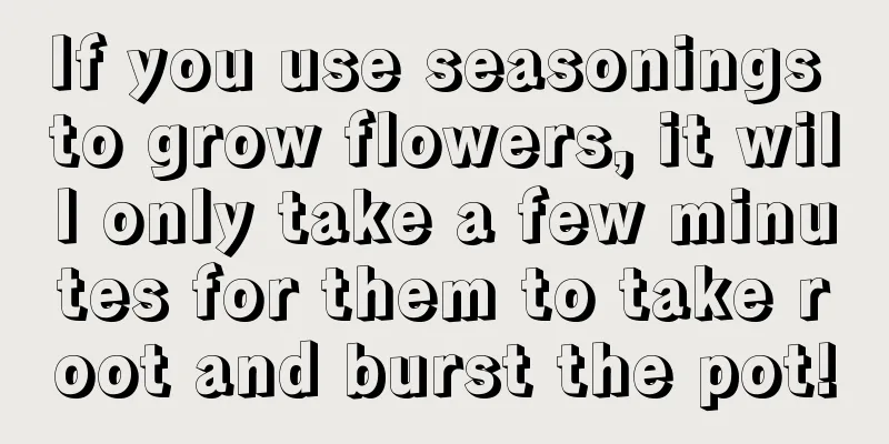 If you use seasonings to grow flowers, it will only take a few minutes for them to take root and burst the pot!