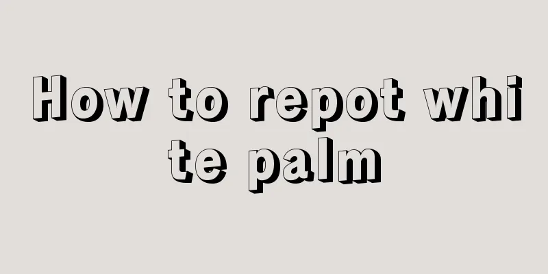 How to repot white palm