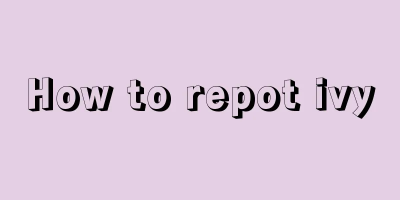 How to repot ivy