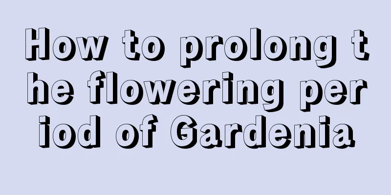 How to prolong the flowering period of Gardenia