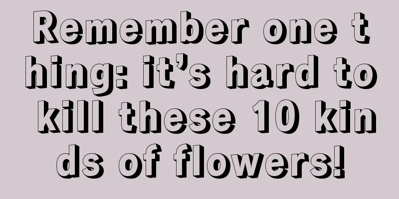 Remember one thing: it’s hard to kill these 10 kinds of flowers!