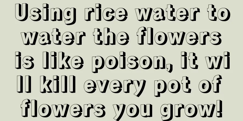 Using rice water to water the flowers is like poison, it will kill every pot of flowers you grow!