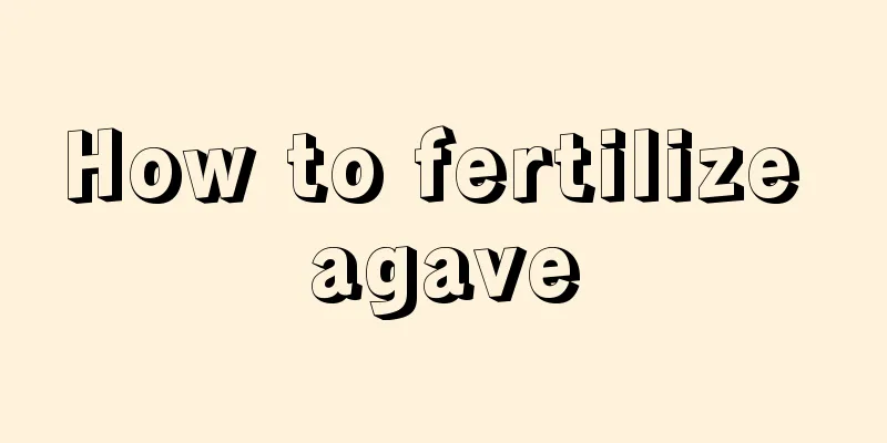 How to fertilize agave