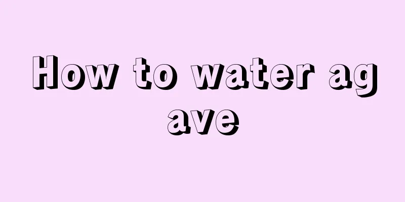 How to water agave