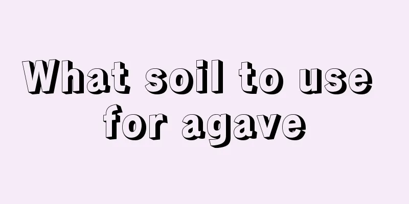 What soil to use for agave