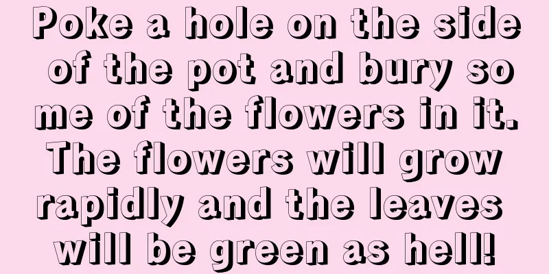 Poke a hole on the side of the pot and bury some of the flowers in it. The flowers will grow rapidly and the leaves will be green as hell!