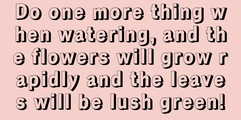 Do one more thing when watering, and the flowers will grow rapidly and the leaves will be lush green!