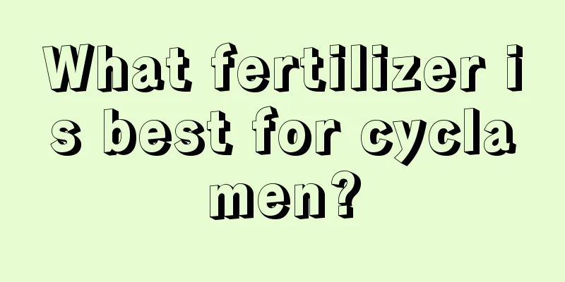 What fertilizer is best for cyclamen?