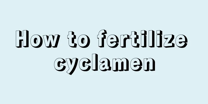 How to fertilize cyclamen