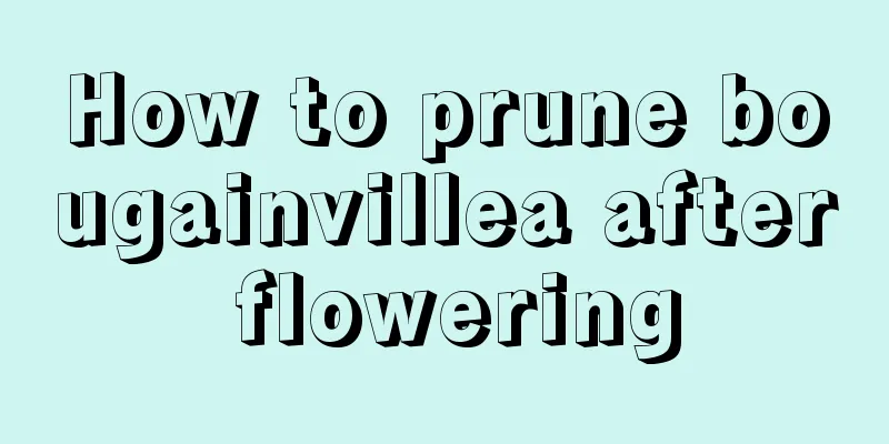 How to prune bougainvillea after flowering