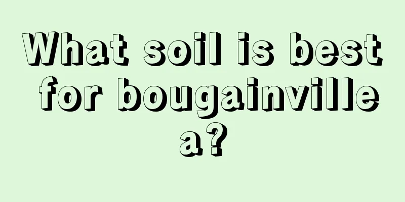 What soil is best for bougainvillea?