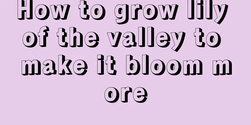 How to grow lily of the valley to make it bloom more