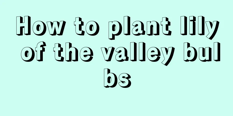 How to plant lily of the valley bulbs