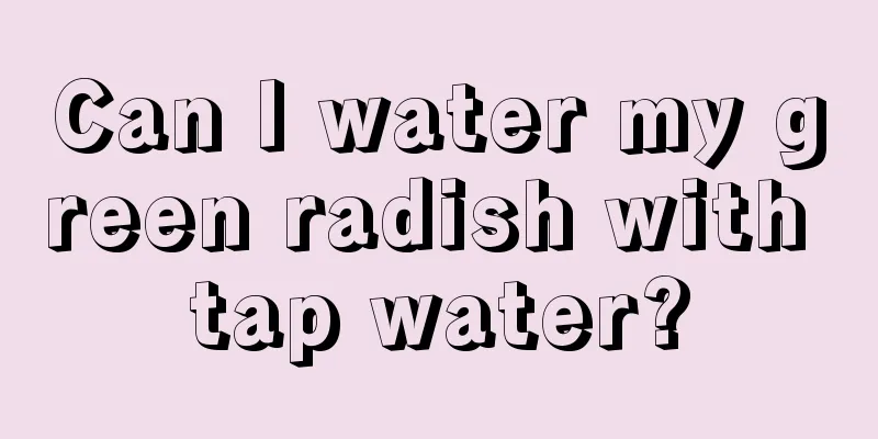 Can I water my green radish with tap water?