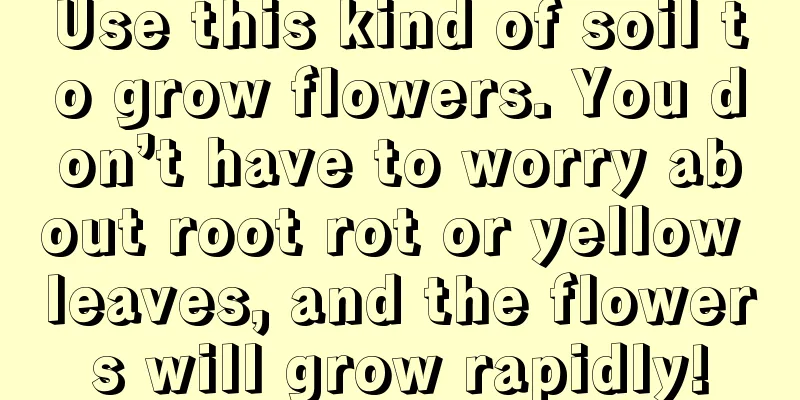 Use this kind of soil to grow flowers. You don’t have to worry about root rot or yellow leaves, and the flowers will grow rapidly!