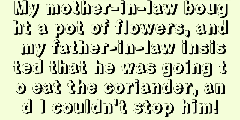 My mother-in-law bought a pot of flowers, and my father-in-law insisted that he was going to eat the coriander, and I couldn't stop him!