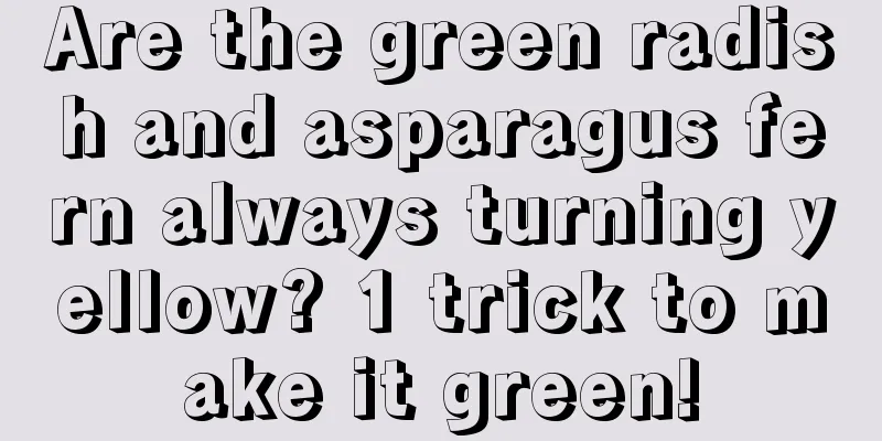 Are the green radish and asparagus fern always turning yellow? 1 trick to make it green!