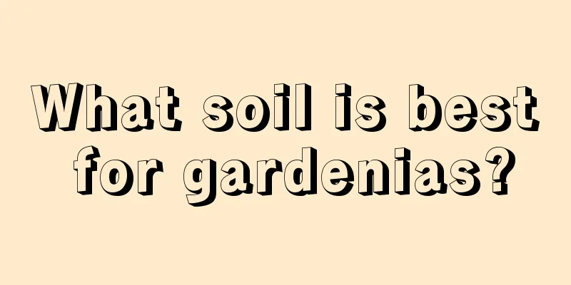 What soil is best for gardenias?