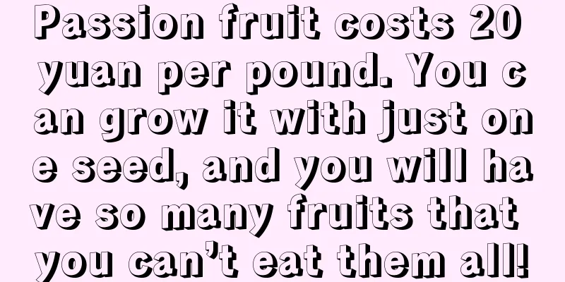 Passion fruit costs 20 yuan per pound. You can grow it with just one seed, and you will have so many fruits that you can’t eat them all!